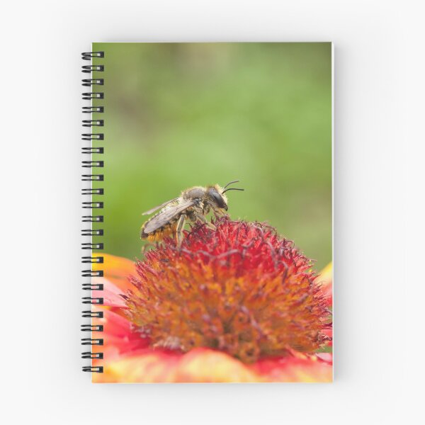 Item preview, Pollinator and Flower designed and sold by Thomasyoung.