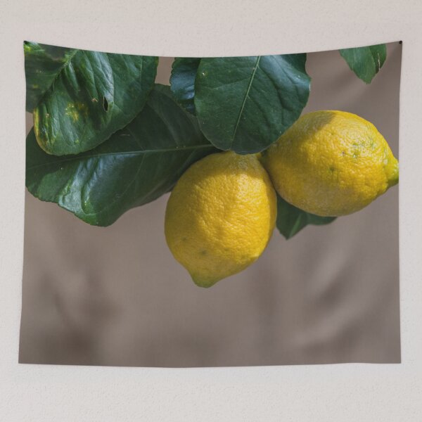 Item preview, Fresh Lemons Growing on a Lemon Tree in Italy designed and sold by Jon Shore.