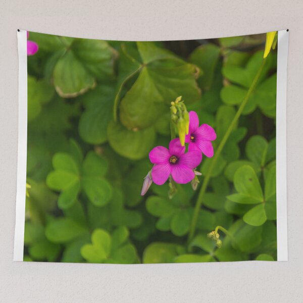 Item preview, Small Pink Flower on a Background of Green Clovers in Spring designed and sold by Jon Shore.