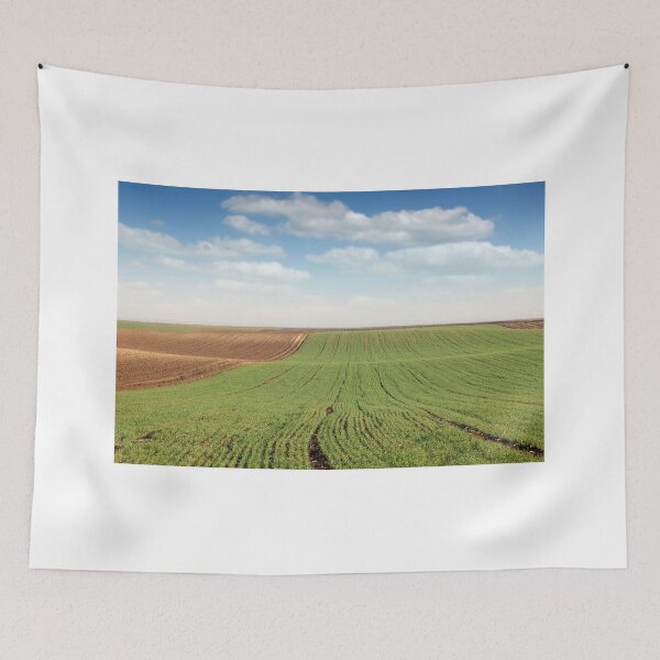 Item preview, young green wheat and plowed field landscape spring season agriculture designed and sold by goceris.