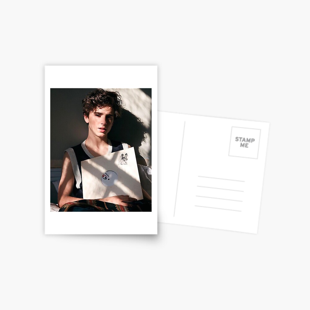 Timothée Chalamet Postcard by daddyhiddlest