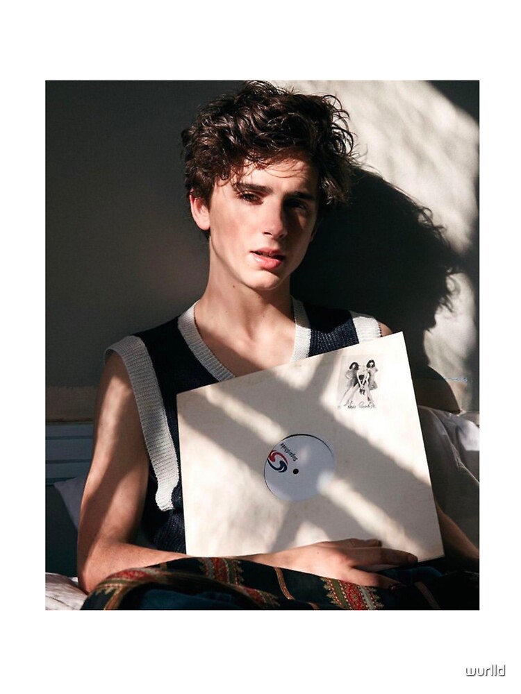 Timothée Chalamet Aesthetic Record\