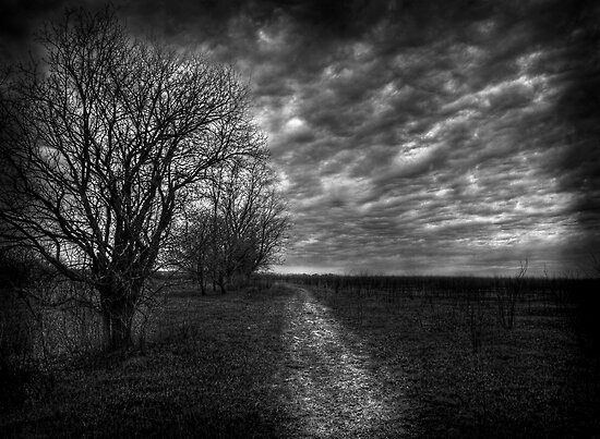 dark-and-dreary-path-poster-by-jthill-redbubble