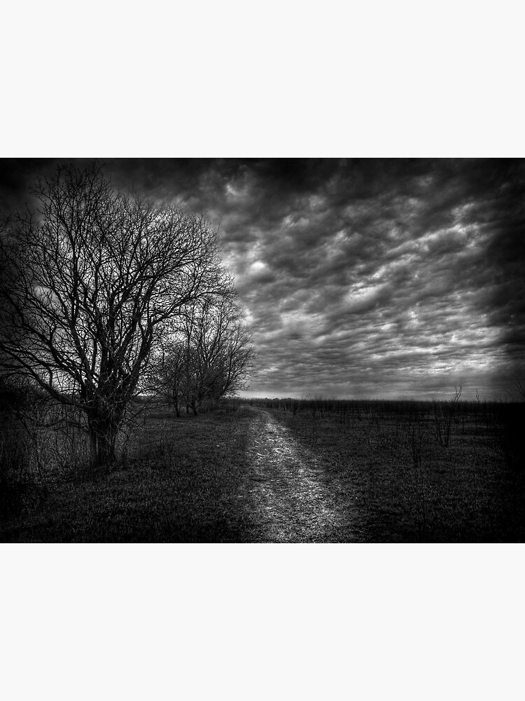 Dark And Dreary Path Poster For Sale By Jthill Redbubble