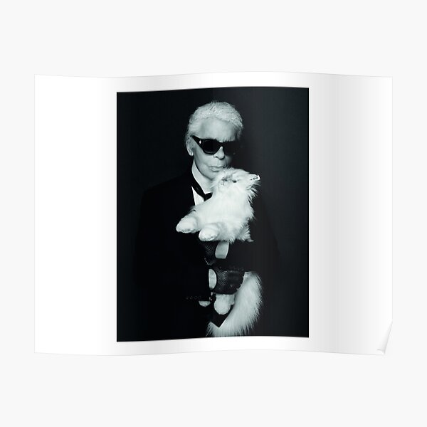 Karl & Choupette Poster