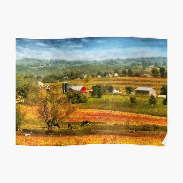 Country - Cows Grazing Poster