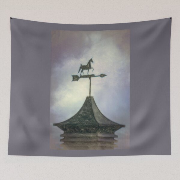 Item preview, No Direction Known - Weather Vane designed and sold by Finding Fortuity.