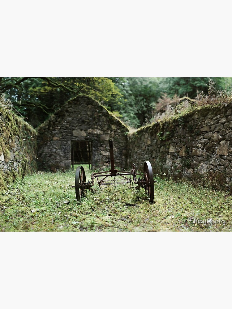 Inverary: Disused Farm Implement by ShinyPhoto
