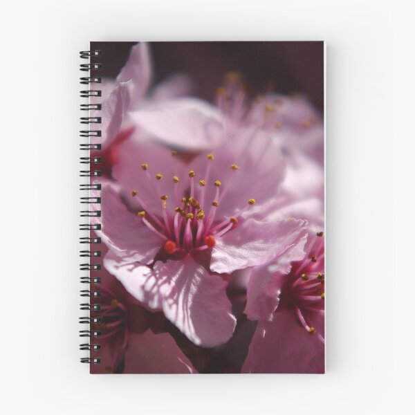 Item preview, Sweet as Honey designed and sold by Vicki Pelham.