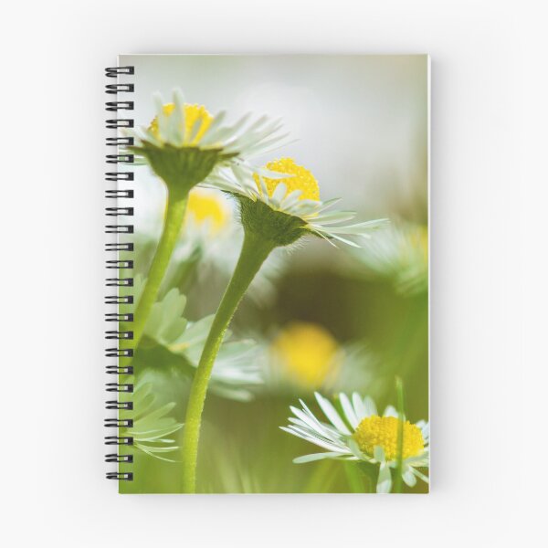 Item preview, Chamomile flowers designed and sold by flashcompact.