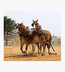 Geared To Pull Photographic Print
