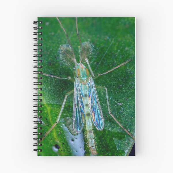 Item preview, Non biting green Midge - Chironomus sp. designed and sold by Normf.