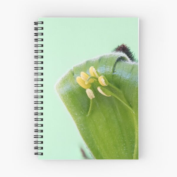 Item preview, Single Kangaroo Paw Flower - Ultra Macro  (see artists notes) designed and sold by DPalmer.