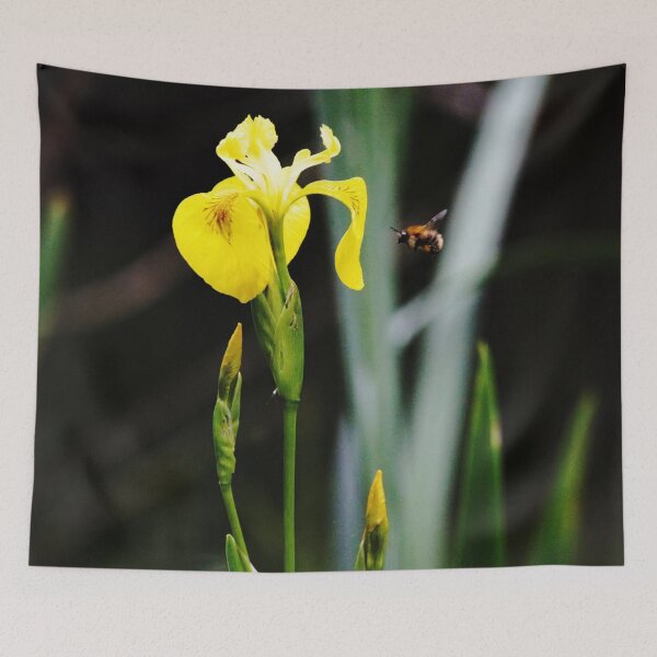 Item preview, Wild Flower & Honey Bee - Nature and Wildlife Original photographic design Merchandise designed and sold by VIDDAtees.