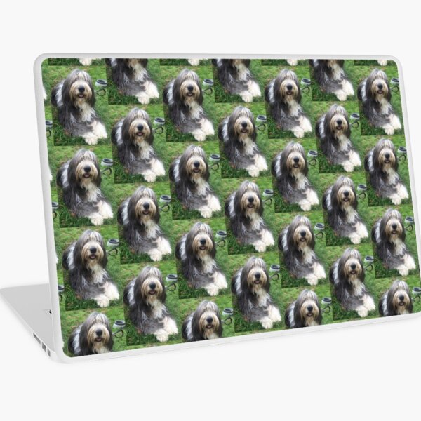 Bearded Collie - Happy Chappy Beardie Laptop Skin
