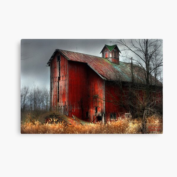 "Still Golden" Canvas Print
