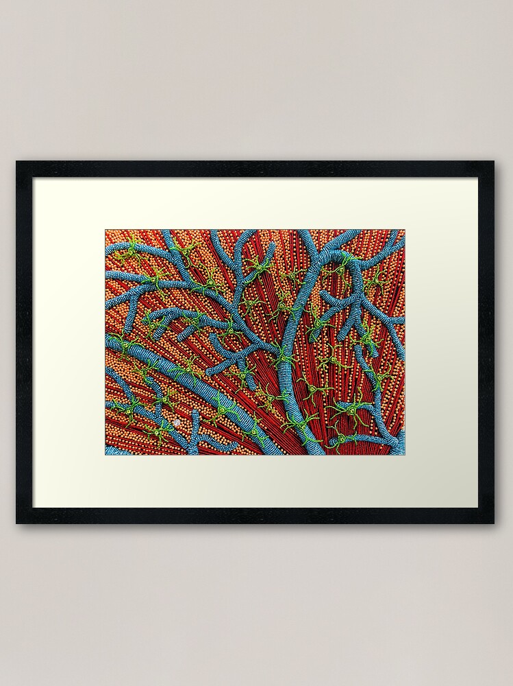 Alternate view of Finding Your Self Framed Art Print
