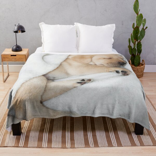 Item preview, Sleeping Golden labrador puppy designed and sold by HaleyRedshaw.
