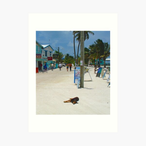 Caye Caulker, Belize Art Print