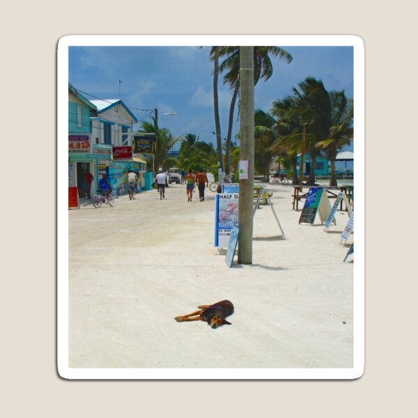 Caye Caulker, Belize Magnet