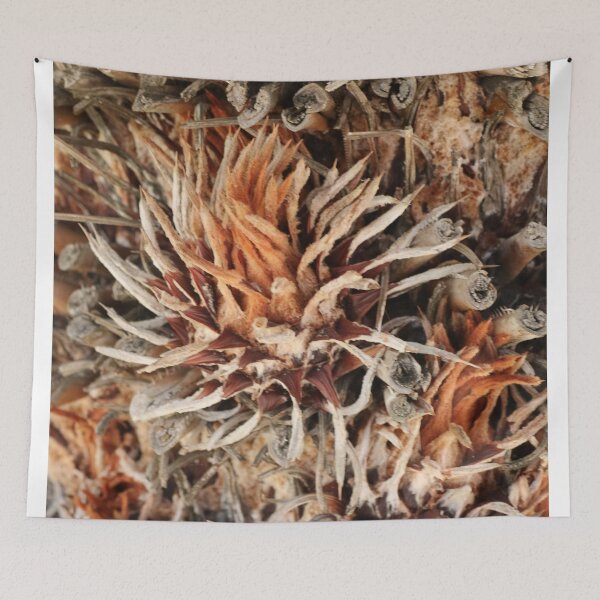 Item preview, Central America, Caribbean, Mexico, Island, Cozumel, Palm, Trunk, Pattern, Photography, BebiCervin designed and sold by BebiCervin.
