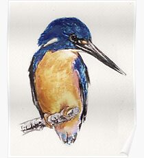 Azure Kingfisher Poster
