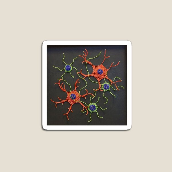 Neuron Astrocyte Co-culture Magnet