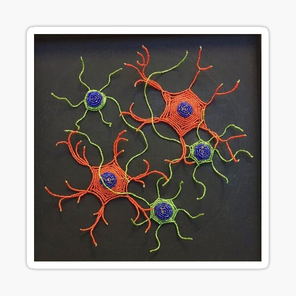 Neuron Astrocyte Co-culture Sticker