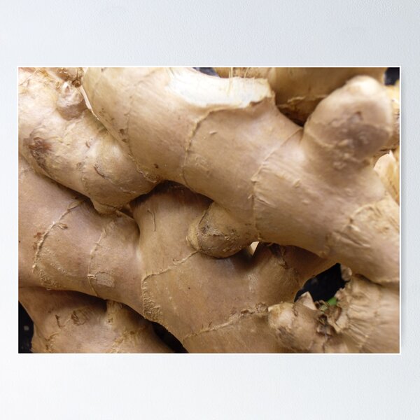 Ginger Poster