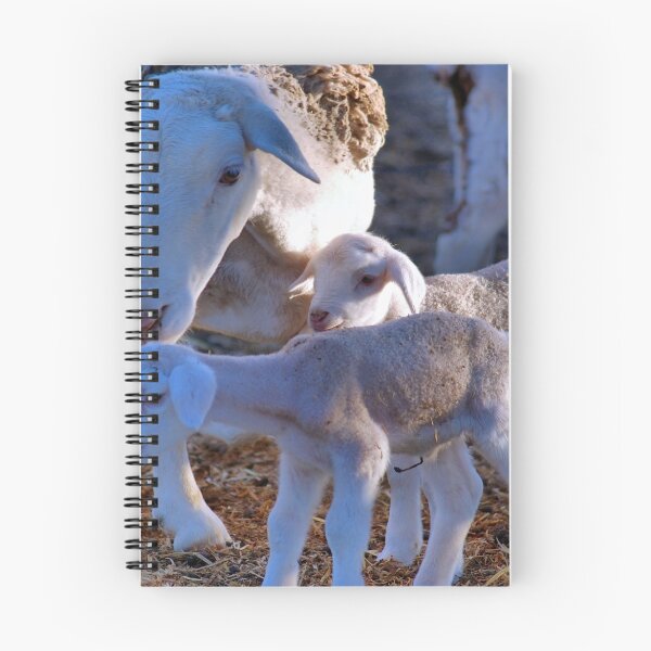 Item preview, PRIVATE COLLECTION TWO - My sheep designed and sold by Magriet Meintjes.