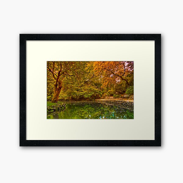Item preview, Autumn at Alfred Nicholas Memorial Gardens designed and sold by JasonGreen.