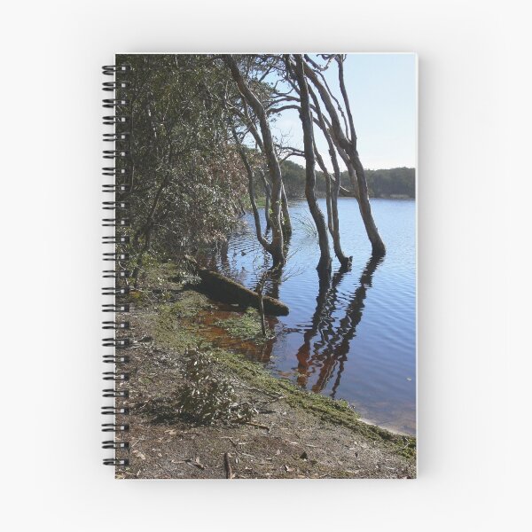 Item preview, Lk Ainsworth  designed and sold by PhotosByG.