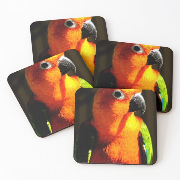 Item preview, Jenday Conure designed and sold by ValueEveryThing.