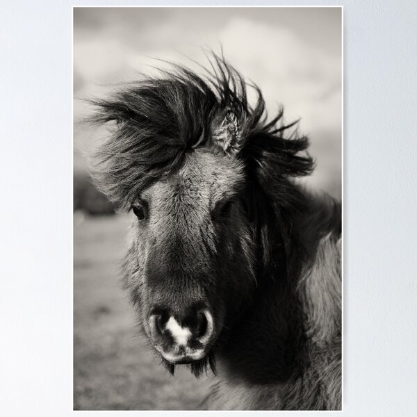 Item preview, Bad Hair Pony designed and sold by leerudd.