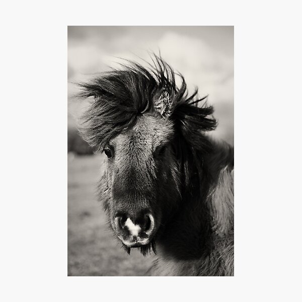 Item preview, Bad Hair Pony designed and sold by leerudd.