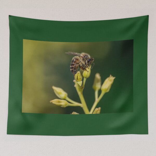 Item preview, European honey bee designed and sold by Martin Leber.