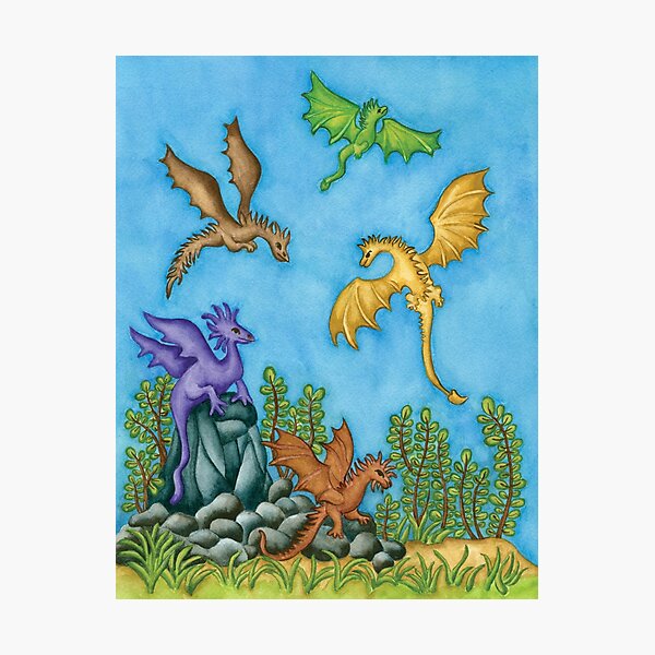 Dragons Learning to Fly Photographic Print