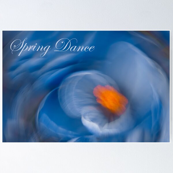 Item preview, Spring Dance - Crocus Flower  designed and sold by JHRphotoART.