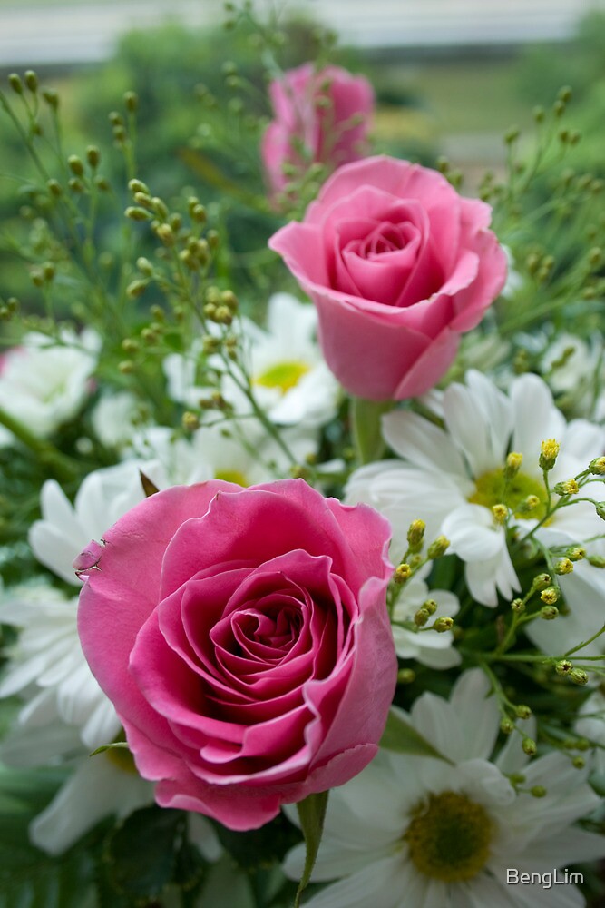 "Roses and Daisy" by BengLim Redbubble