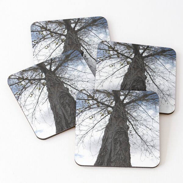 Item preview, Winter Tree designed and sold by Red Nebula Studios.