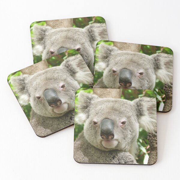 Item preview, Koala, Birdland Animal Park designed and sold by Trish Meyer.