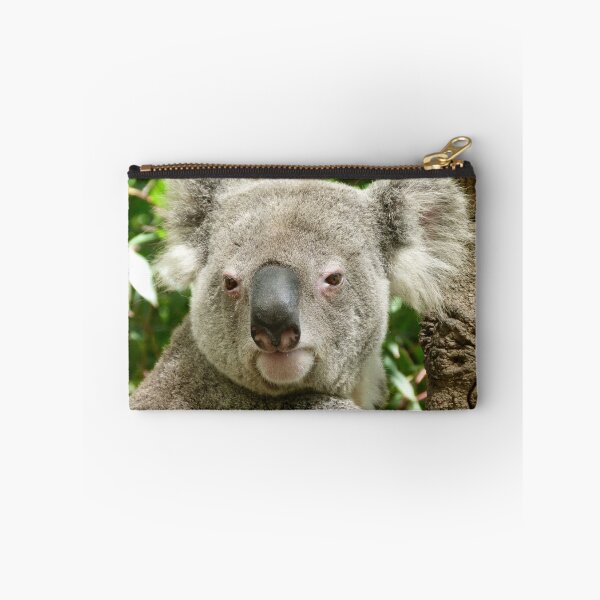 Item preview, Koala, Birdland Animal Park designed and sold by Trish Meyer.