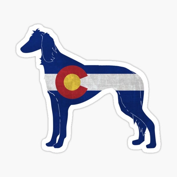 Saluki Silhouette filled with Colorado Flag Sticker