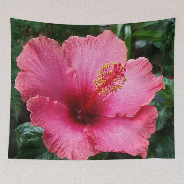 Item preview, Red Hibiscus designed and sold by Sharon Schwalbe.