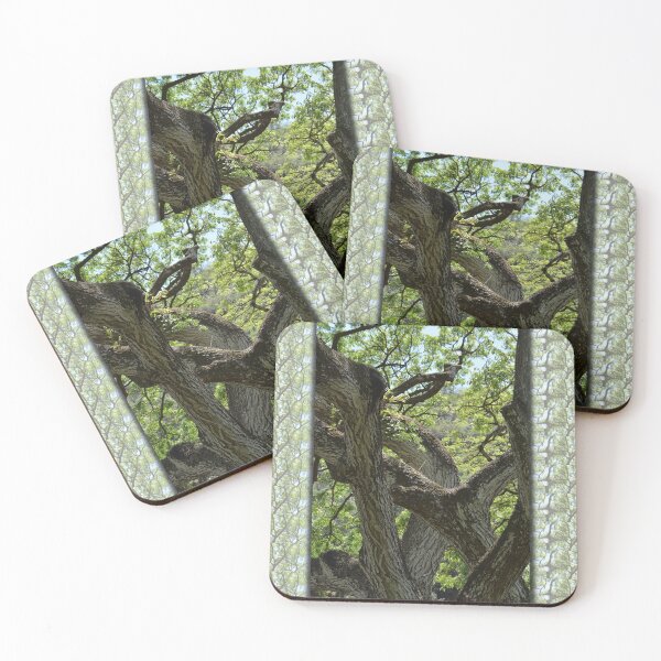 Item preview, Australian Tree Art designed and sold by Sharon Schwalbe.