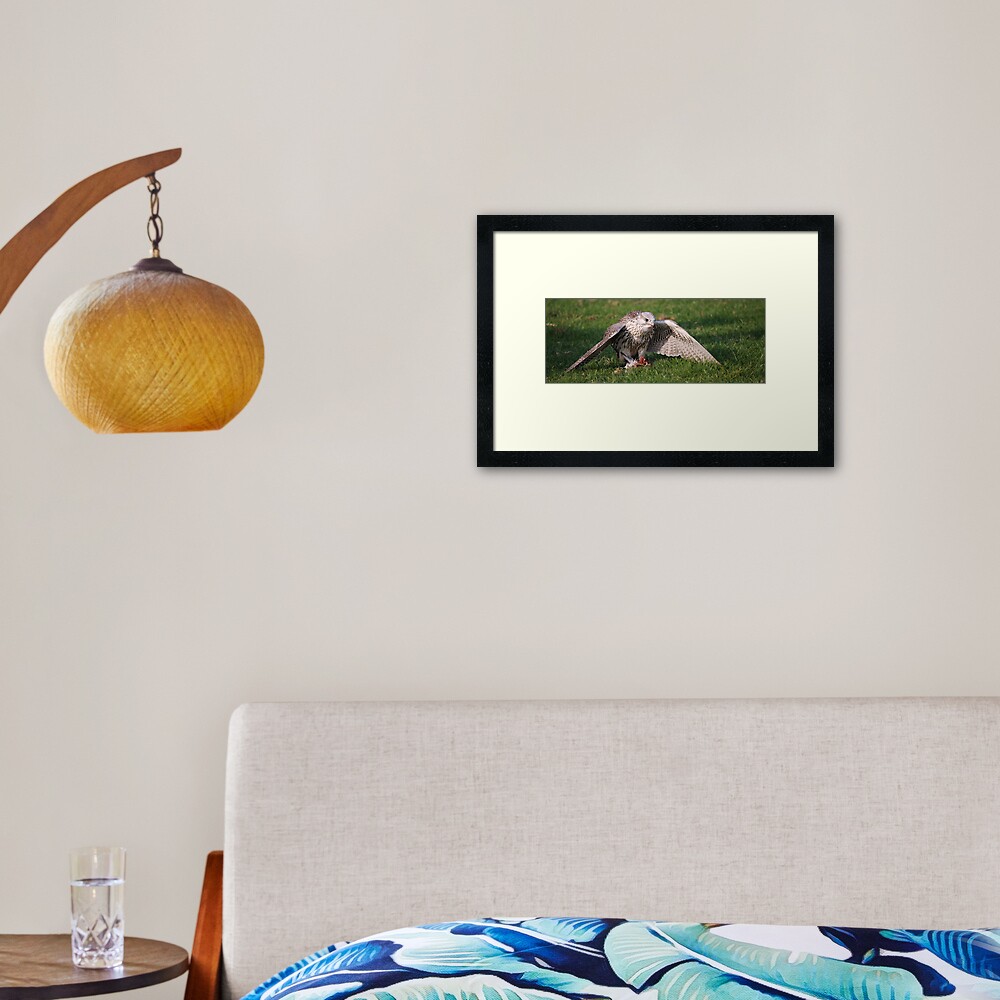 Having Dinner! Framed Art Print