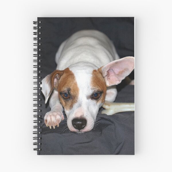 Item preview, Jack designed and sold by W E NIXON  PHOTOGRAPHY.