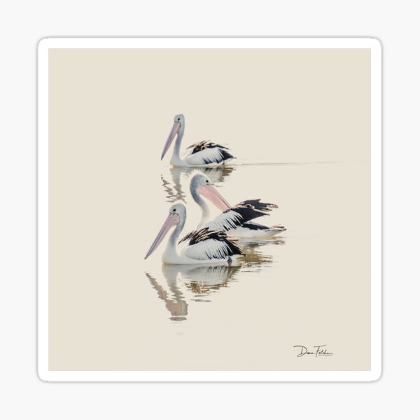 Item preview, Pelican Dance designed and sold by Dana Fatchen.