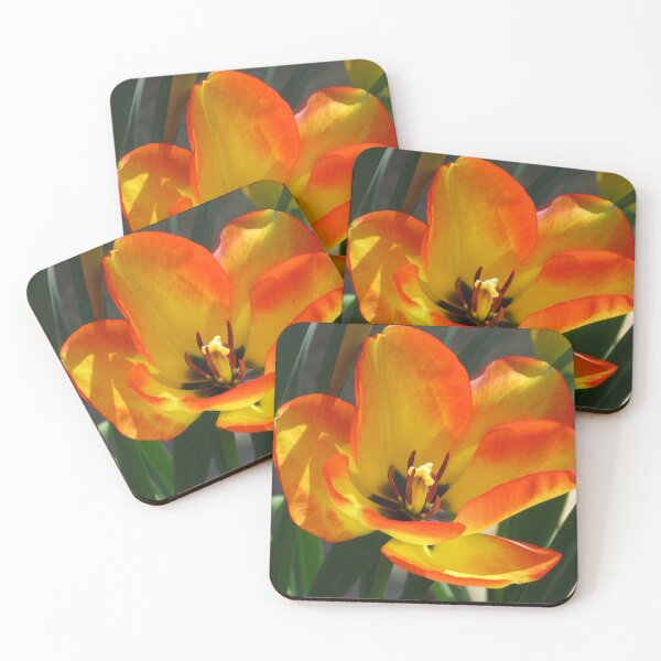 Item preview, Petals of Fire - Orange and Yellow Tulip designed and sold by SunriseRose.