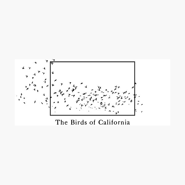 Birds of California Photographic Print